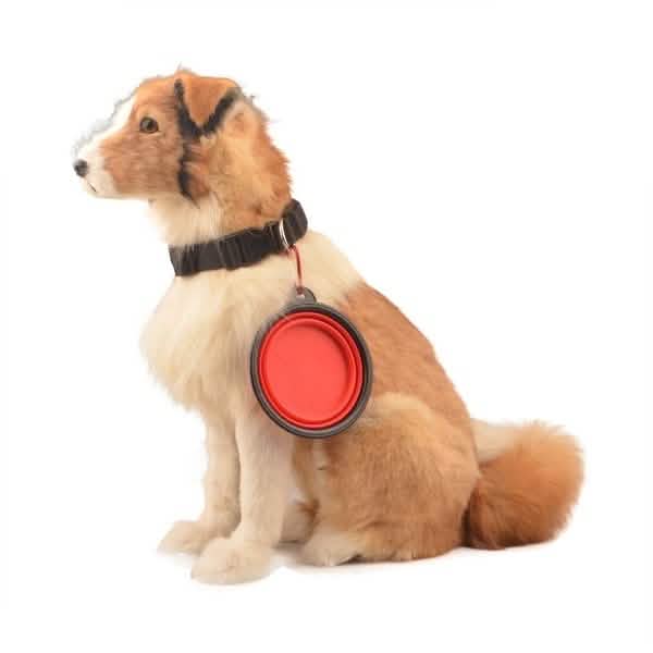 2-Pack: Collapsible Food Water Travel Bowl