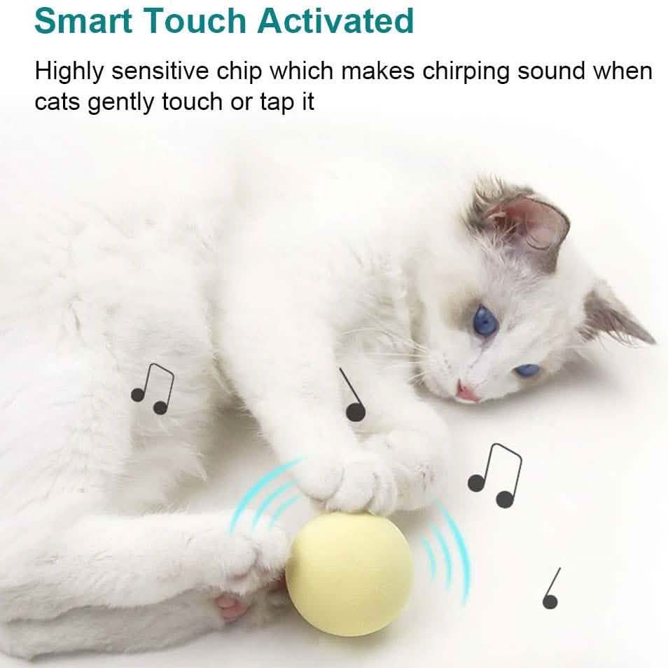 3-Pack: Realistic Chirping Balls Cat Toys