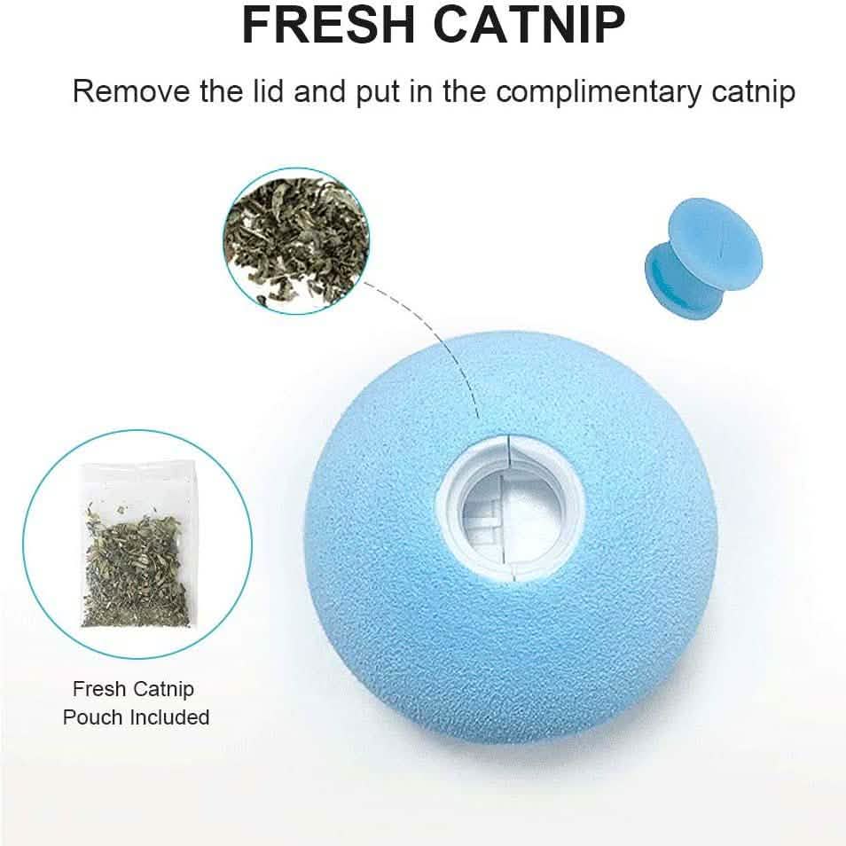 3-Pack: Realistic Chirping Balls Cat Toys