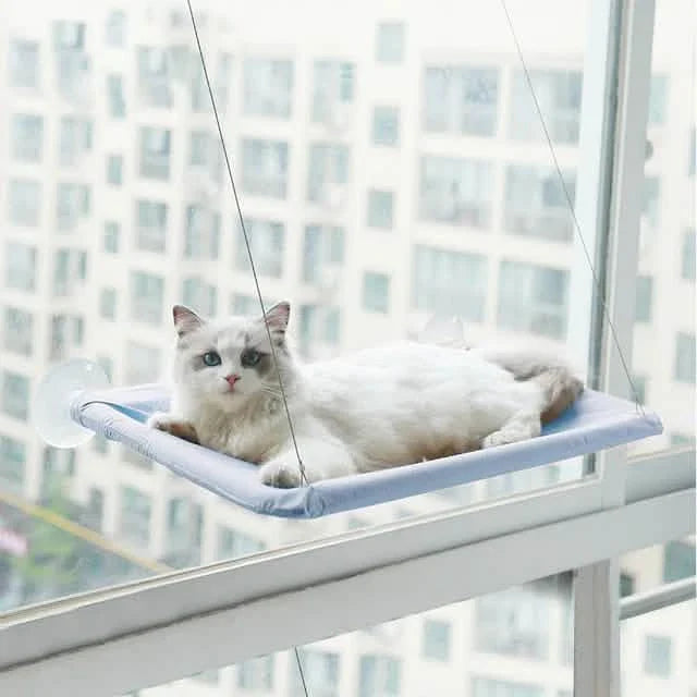 360¬∞ Cat Window Hammock: A Space-Saving Sunny Seat for Indoor Cats!