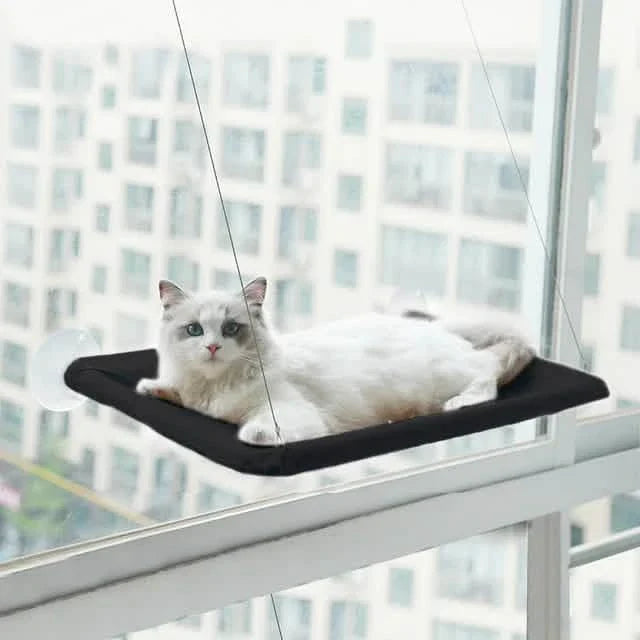360¬∞ Cat Window Hammock: A Space-Saving Sunny Seat for Indoor Cats!