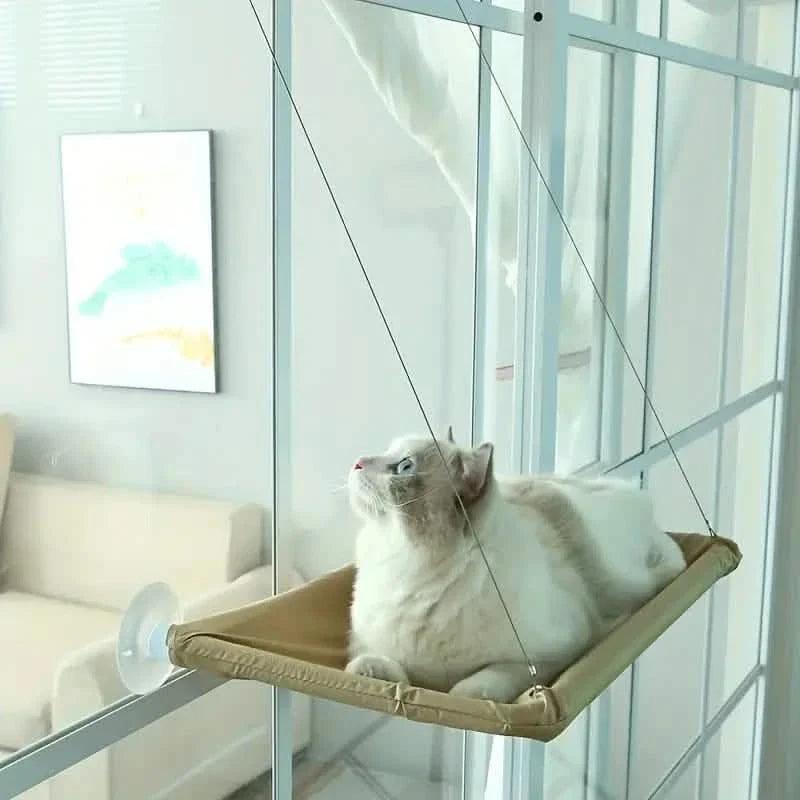 360¬∞ Cat Window Hammock: A Space-Saving Sunny Seat for Indoor Cats!