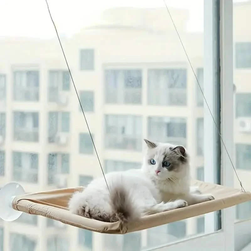 360¬∞ Cat Window Hammock: A Space-Saving Sunny Seat for Indoor Cats!