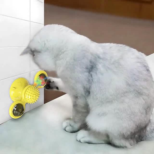 Cat Teases Interactive Pet Toy