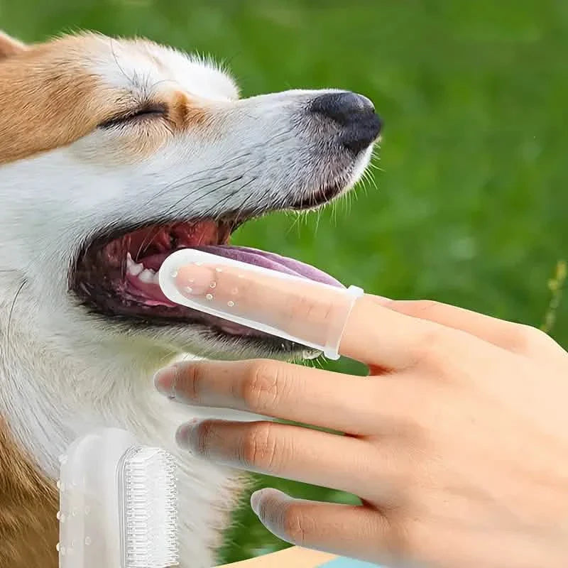 Finger Toothbrush For Dogs and Cats